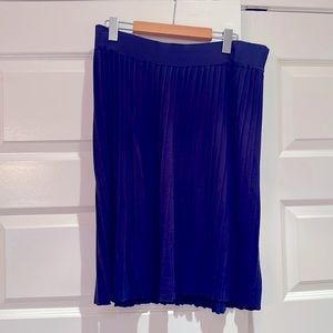Banana Republic navy blue knit pleated